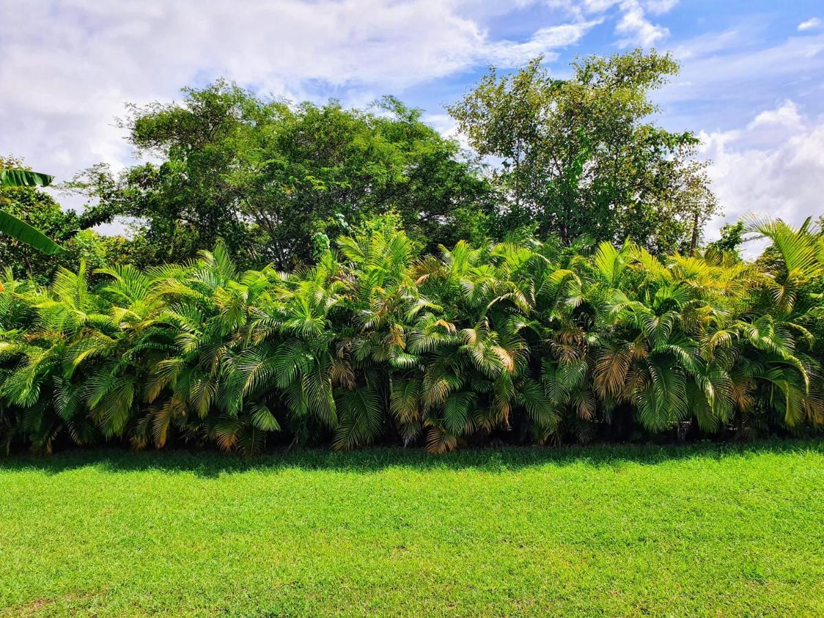 Villa Ohana Sainte-Anne (Grande-Terre) Exterior foto